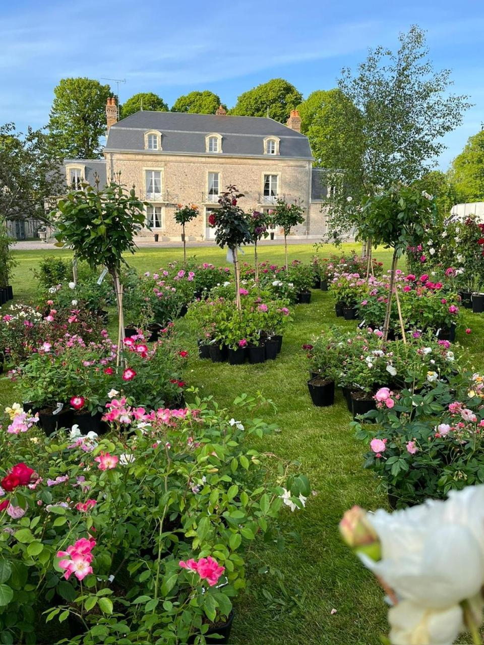 Le Manoir Du Ribardon Bed & Breakfast Neuvy-au-Houlme Eksteriør bilde